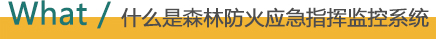 2025澳门原料免费大全