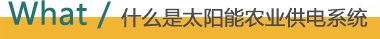 2025澳门原料免费大全